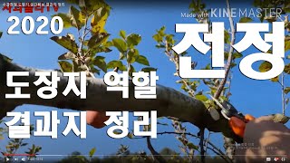사과전정에 대하여