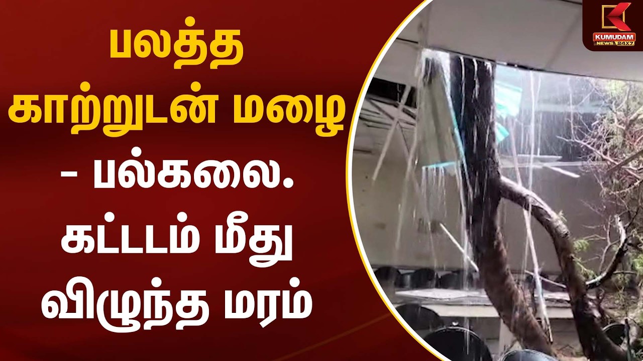 பலத்த காற்றுடன் கனமழை..! இடிந்து விழுந்த மரம் | Rain | Weather Update | Kumudam News