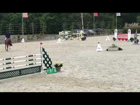 CLINDOEIL A MORMOULIN ( Diamant de Semilly X For Pleasure )