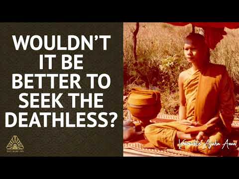 Wouldn’t It Be Better to Seek the Deathless? | Ajahn Anan | 14 Aug 2021