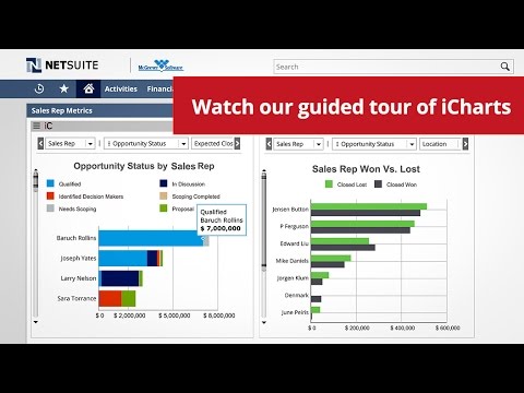 Intro to iCharts - Viewing, Creating, and Sharing iCharts in NetSuite
