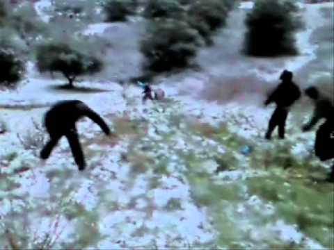 The Shadows PK Pescara JOSA GUN EMINEM