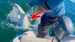 Instantly REGRETTED Dropping MASSIVE Live Baits In The Gulf of Mexico!