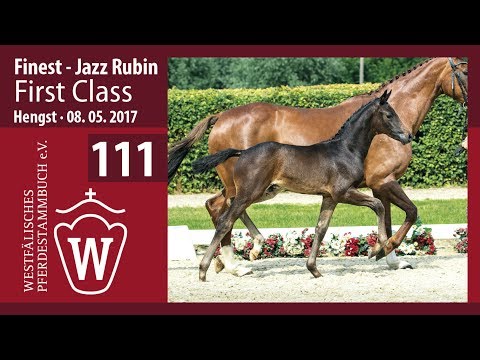 111 First Class  Hengst v. Finest - Jazz Rubin