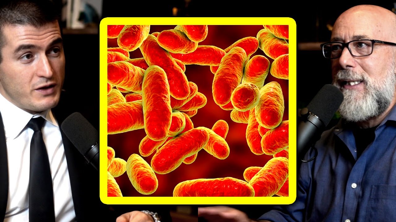 The secret to evolution of life on Earth | Adam Frank and Lex Fridman