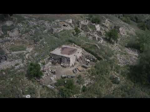 Foragers | Official Trailer | ALT EFF 2024