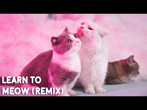 Learn To Meow (Remix) [学猫叫] - Wengie, XiaoPanPan, XiaoFengFeng (Cover By Munchkin)