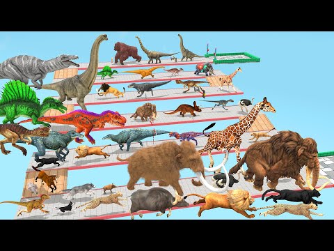 Which Animal vs Dinosaurs Speed Race Run Zigzag Down Course! from Outside Animal Revolt Battle Simul