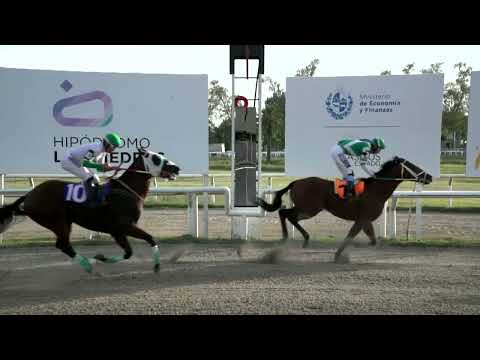 221222 c10 - PURA ESTIRPE - HIPODROMO LAS PIEDRAS