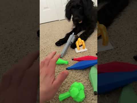 When a trade goes WRONG in Animal Company IRL #animalcompany #animalcompanyvr #gorillatag