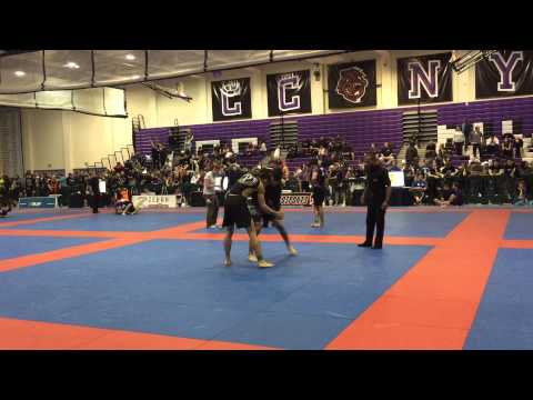 Dillon Danis Flying Triangle