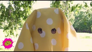My Little Music Video