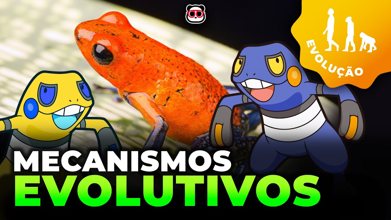 Mecanismos evolutivos