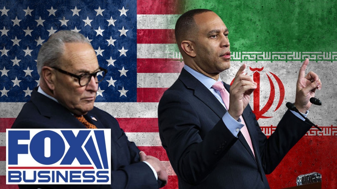 Schumer, Jeffries are taking Dems 'on a limb,' Gingrich warns