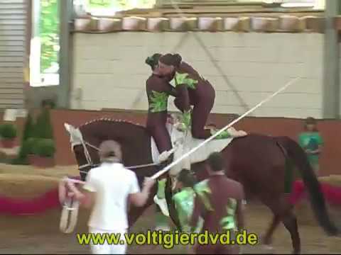 Süddeutsche Meisterschaft 2010 - M*-Gruppen 01 Behrhof I