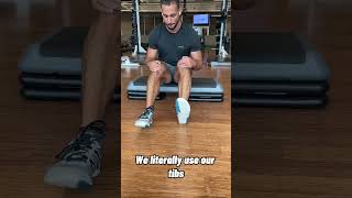 Why Train Your Tibs?