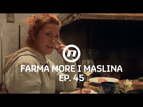Trzavice Zdenke i Katarine - Epizoda 45 | Farma More i Maslina