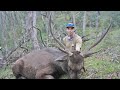 Hunting Sambar Stags Public Land Success