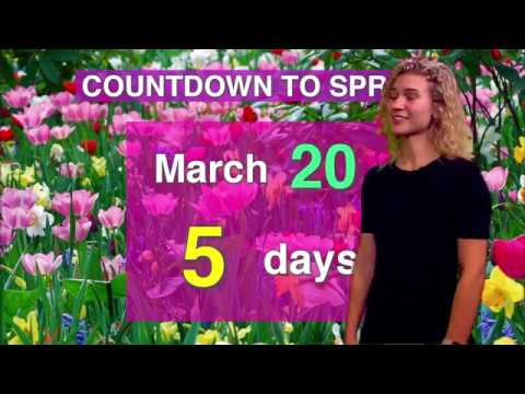 NewsLink Indiana Weather March 15, 2018  - Payton Domschke