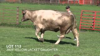 Download lagu Lot 113 mp3