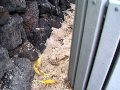 Ratatouille MOV