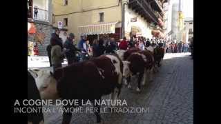 preview picture of video 'Désarpa Cogne: un weekend tra natura e tradizione'