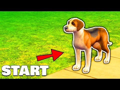 The Sims 2, 1 Dog Start...