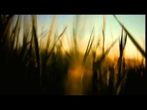 Dawt Hlei Hniang 2014 - Lung Lawmhnak tak tak  (Official Music video)