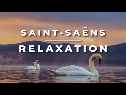 Saint-Saëns - The Swan | Relaxing Classical Cello and Piano Music | 1 HOUR