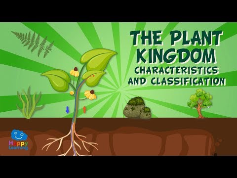 , title : 'Kerajaan Tumbuhan: Ciri-ciri dan Klasifikasi | Video Edukasi untuk Anak'
