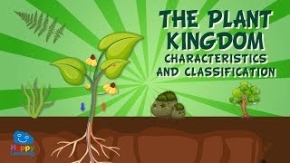 The Plant Kingdom: Characteristics and Classificat
