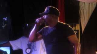 PUBLIC ENEMY LIVE in MELBOURNE 2014 - I shall not be moved.