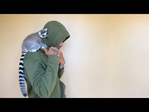 Mack Millz - Not A Tesla (Official Music Video)(Shot by  @THE FORMULA 716 )