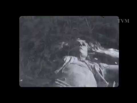 Ruslan Radriges & Twin View - Insomnia (Extended Mix)