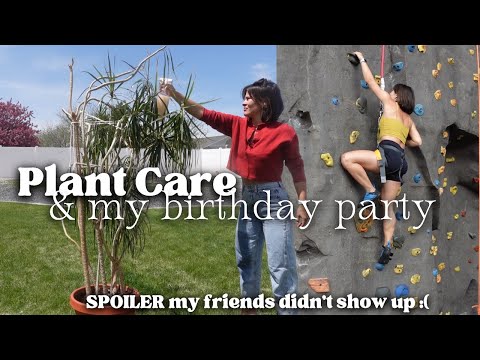Spraying my 8ft Houseplant for Spidermites, rearranging my plant collection & my 30th Birthday Vlog