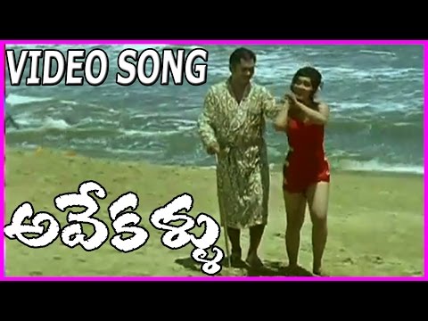 Super Hit Beach Song From Avey Kallu Telugu Movie | Rose Telugu Movies