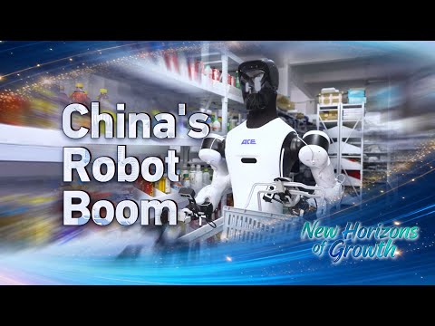 From 'big toys' to smart machines: China's robot push