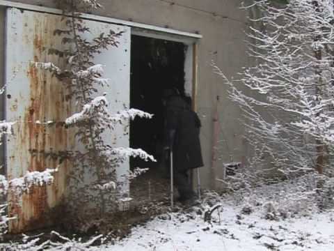 Top chef turns hand to forest food