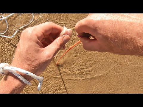 How to catch beach worms for bait (full tutorial)