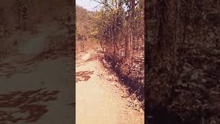 preview picture of video 'Way to Dharagiri Falls'
