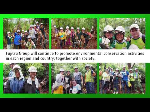 download lagu mp3 mp4 Rainforest Group, download lagu Rainforest Group gratis, unduh video klip Rainforest Group