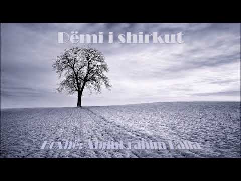 Dëmi i shirkut - Hoxhë: AbduRrahim Balla