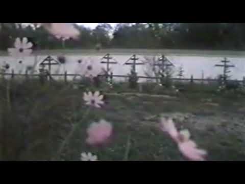 [free] nothing,nowhere. + familypet type beat - "wherever" (wisssery)