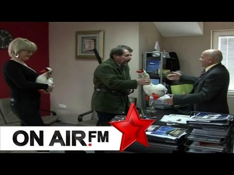 Cima, Fiza, Kungji - Shota e Ministrit