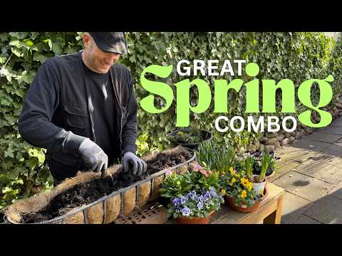 Planting Spring Window Boxes Step-by-Step | Bulbs & Spring Flowers for Big Impact