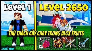 Hành Trình Cày Chay Từ Lever 1 Lên Max Trong Blox Fruits