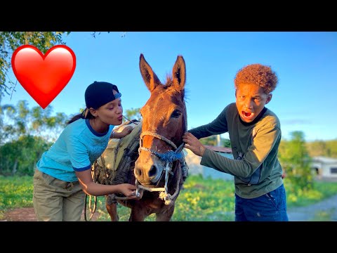 EL PEQUEÑO GINETE 🏇😂 PARTE 4 (los menores rd)