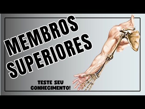OSSOS DO MEMBRO SUPERIOR   Corpo Quiz