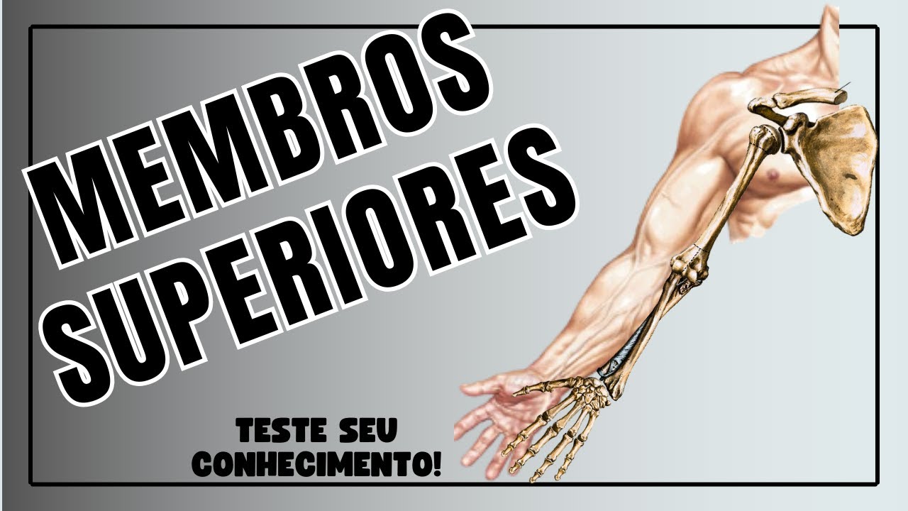 OSSOS DO MEMBRO SUPERIOR   Corpo Quiz