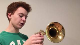 Video thumbnail for Yamaha YTR-2335 Student Model Trumpet Review by Samuel Plays Brass